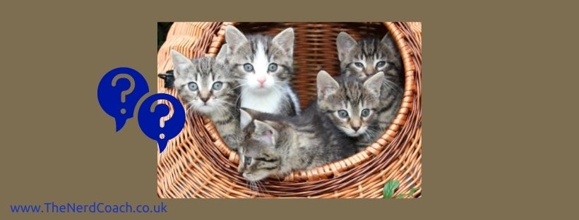 Picture of a basket of kittens